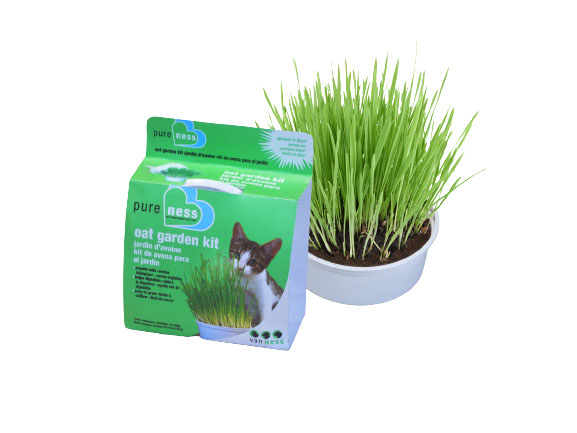 Van Ness - Jardin d’avoine pour chat