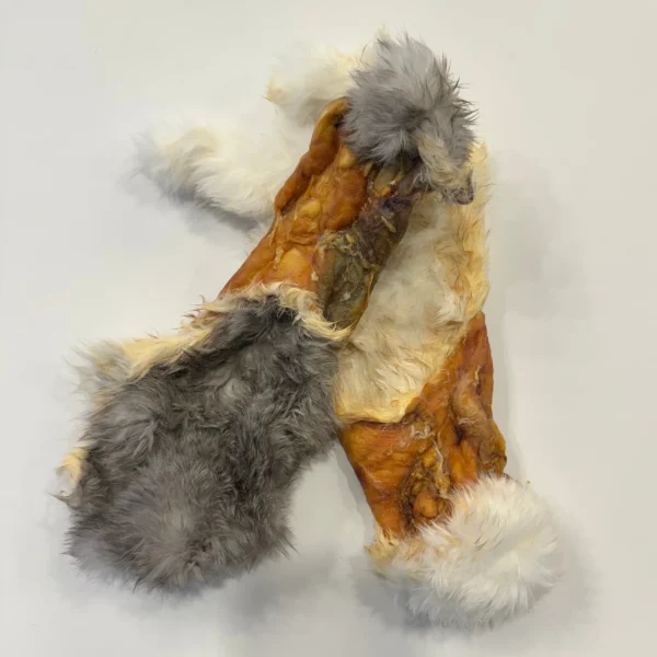 Grand Valley Quail - Peau de lapin déshydraté