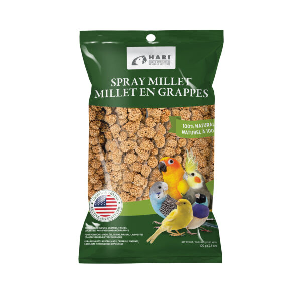 HARI | Millet en grappes